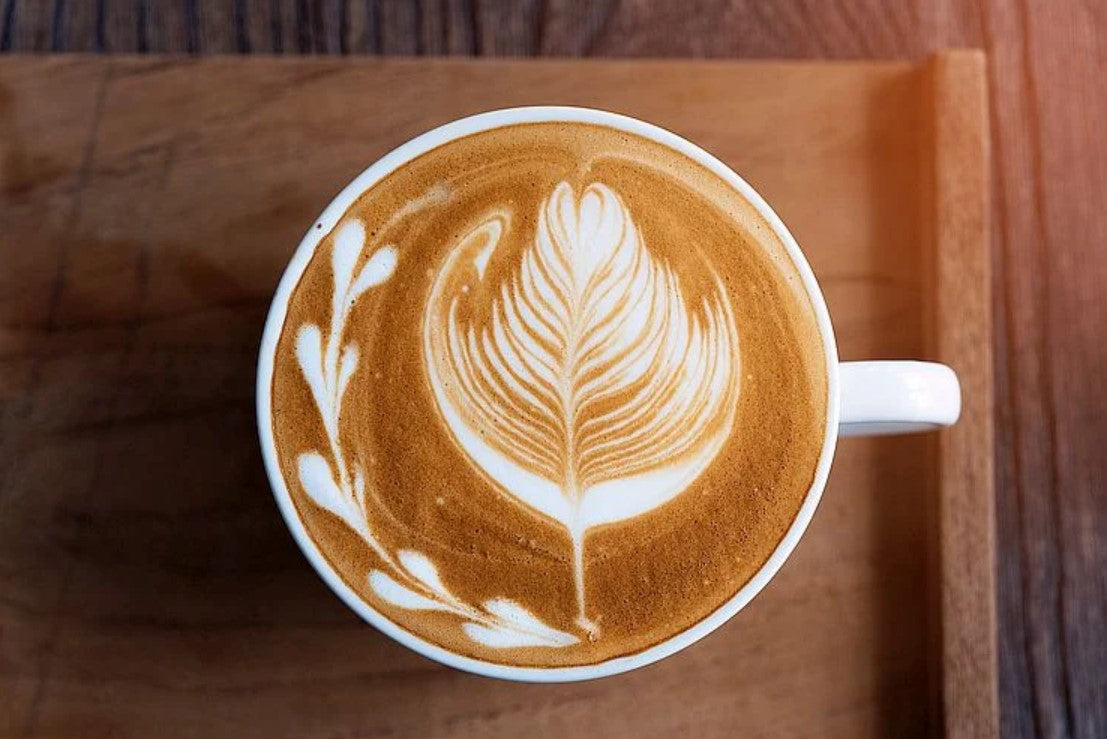 Latte/Cappucino 16oz