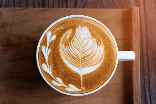 Latte/Cappucino 16oz